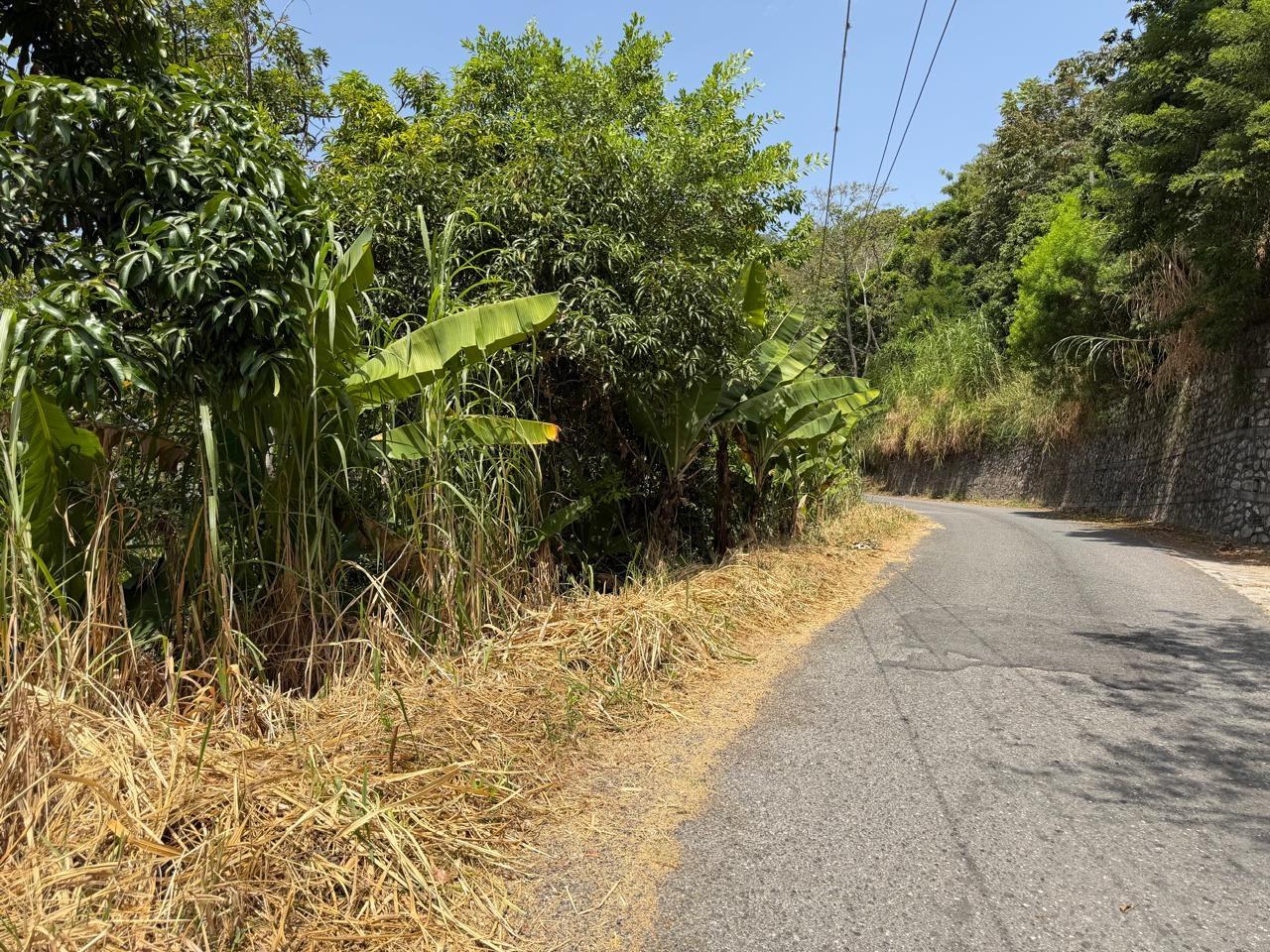 Twelfth image of 5 New Grange in Woodford P.O., St. Andrew, Jamaica - property is For Sale