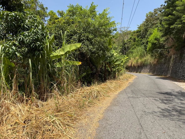 Twelfth image of 5 New Grange in Woodford P.O., St. Andrew, Jamaica - property is For Sale