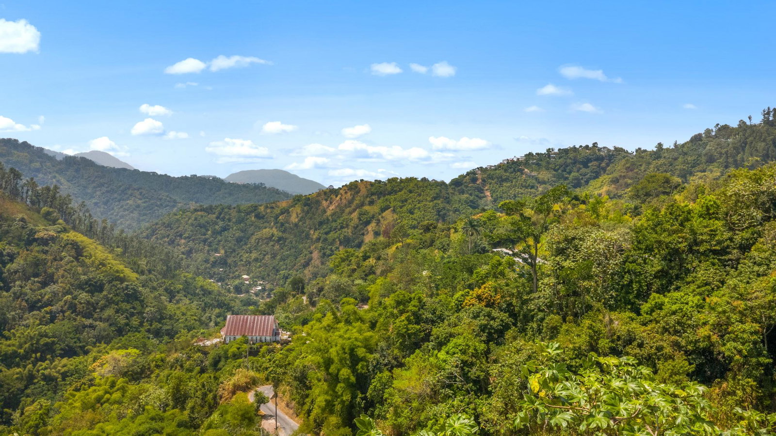 Eighth image of 5 New Grange in Woodford P.O., St. Andrew, Jamaica - property is For Sale