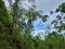First image of Dry River Retreat Portlan in Mount James, Portland, Jamaica - property is For Sale