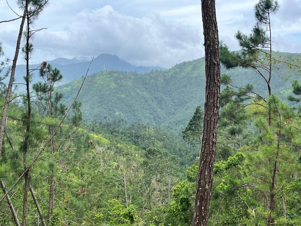 Third image of Dry River Retreat Portlan in Mount James, Portland, Jamaica - property is For Sale