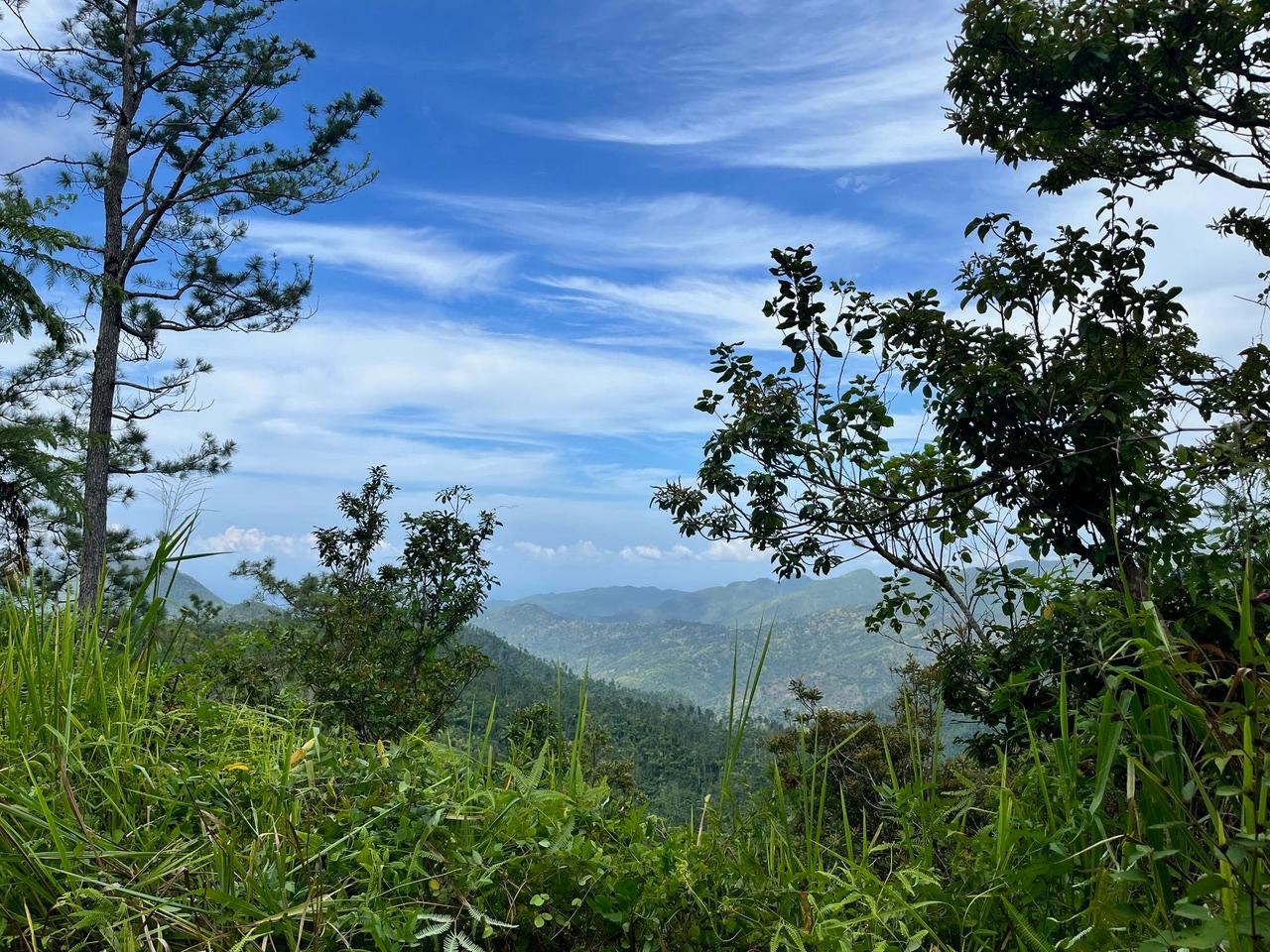 Fourth image of Dry River Retreat Portlan in Mount James, Portland, Jamaica - property is For Sale