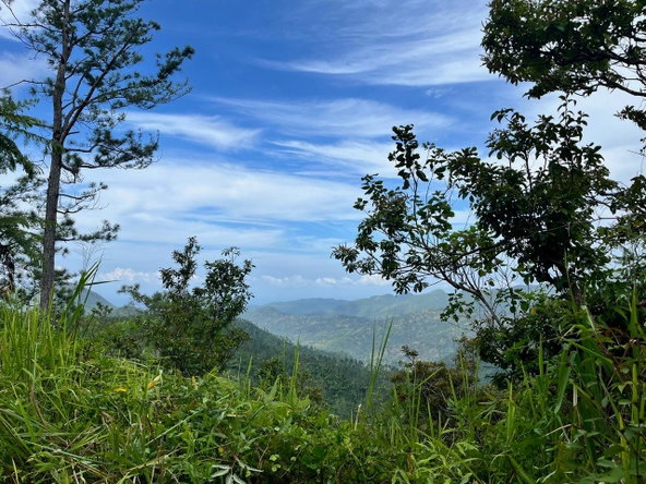 Fourth image of Dry River Retreat Portlan in Mount James, Portland, Jamaica - property is For Sale