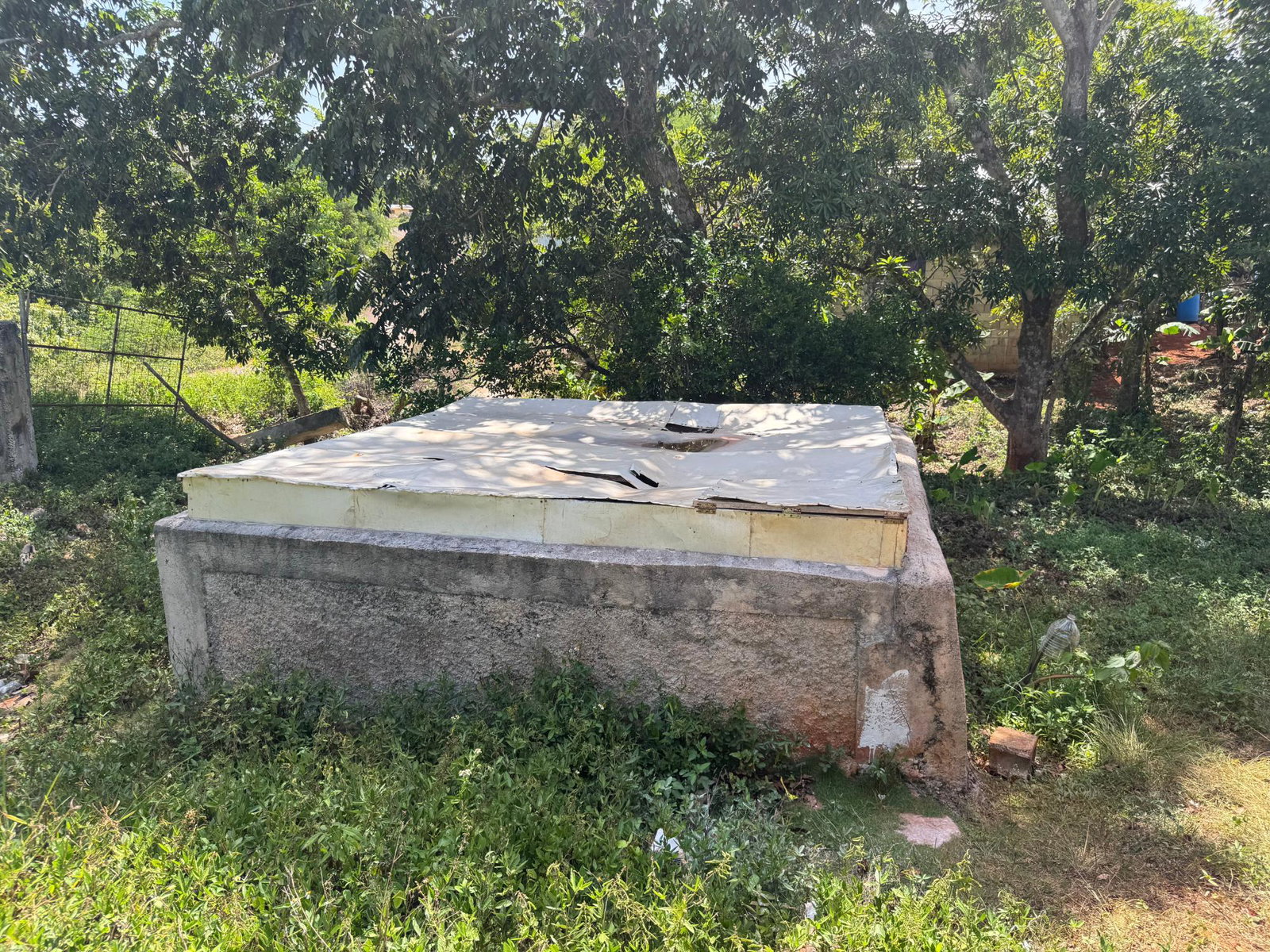 Twelfth image of Farm District, Manchester in Farm, Manchester, Jamaica - property is For Sale