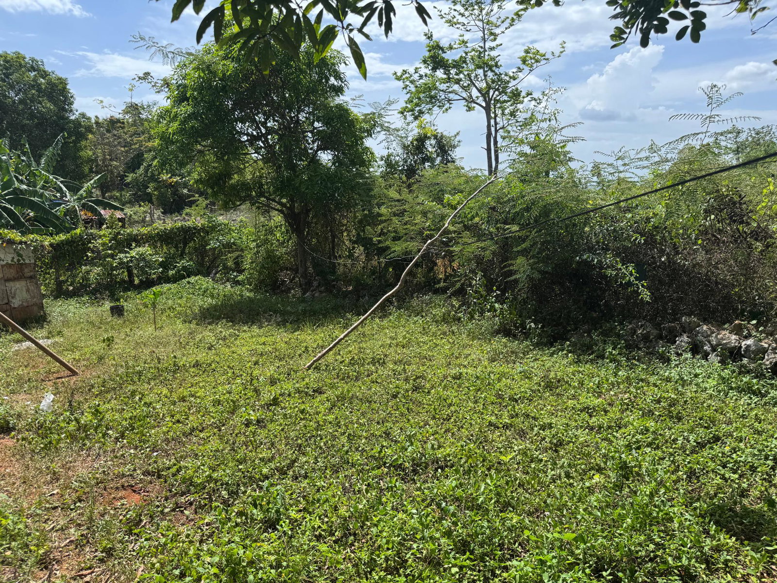 Thirteenth image of Farm District, Manchester in Farm, Manchester, Jamaica - property is For Sale