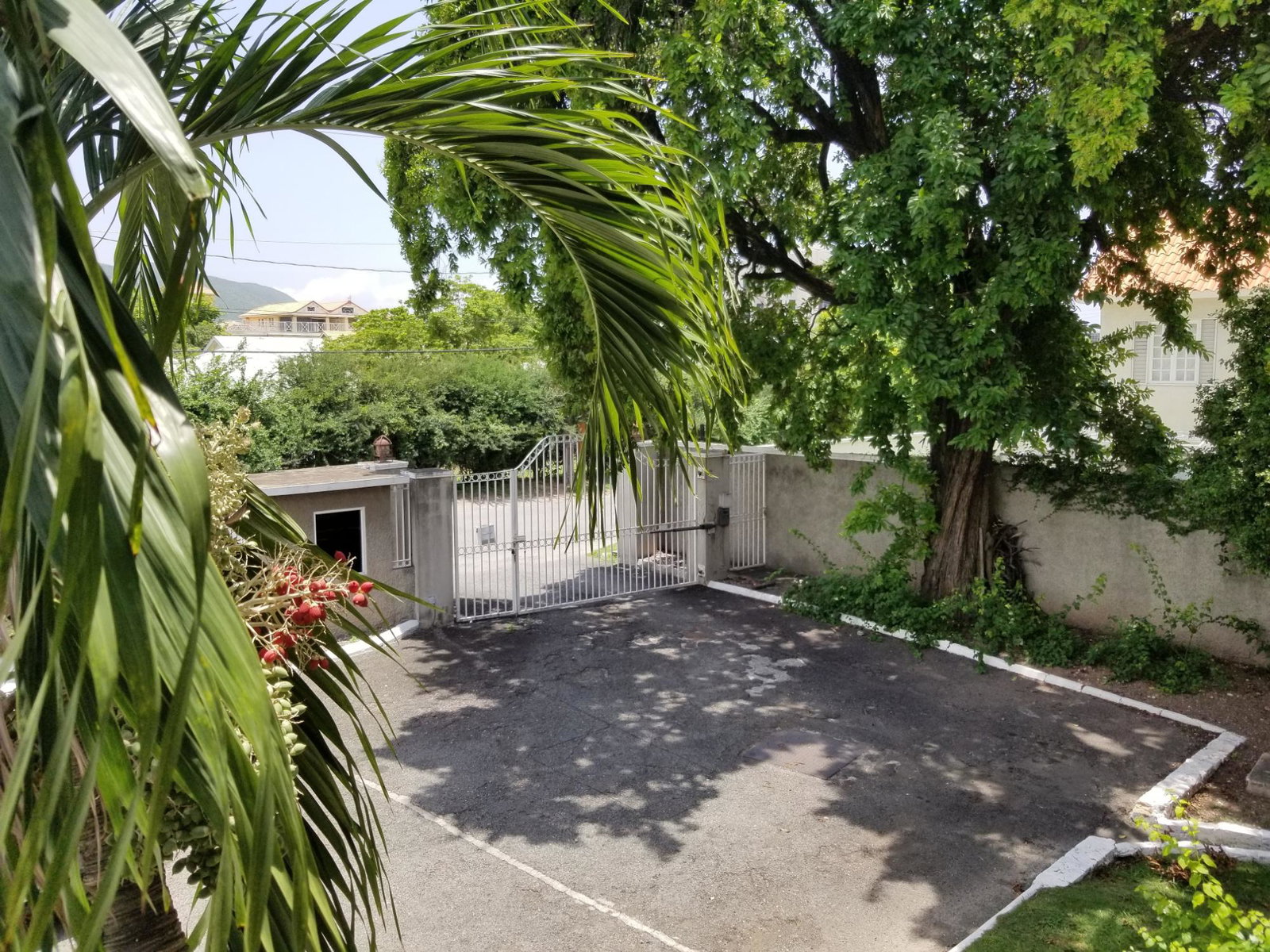 Fifteenth image of 11-5 Upper Musgrave Avenue in Kingston 5, St. Andrew, Jamaica - property is For Rent