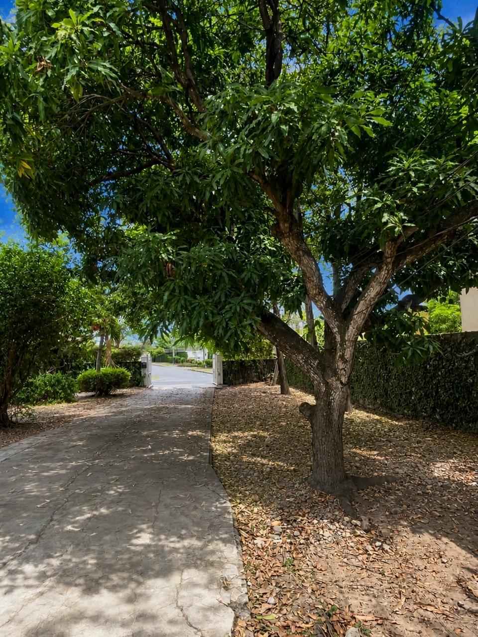 Second image of 9 Millsborough Avenue in Kingston 6, St. Andrew, Jamaica - property is For Rent