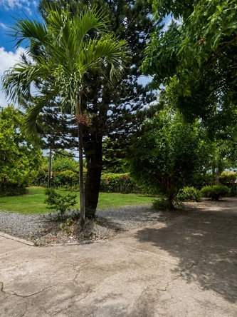 Third image of 9 Millsborough Avenue in Kingston 6, St. Andrew, Jamaica - property is For Rent