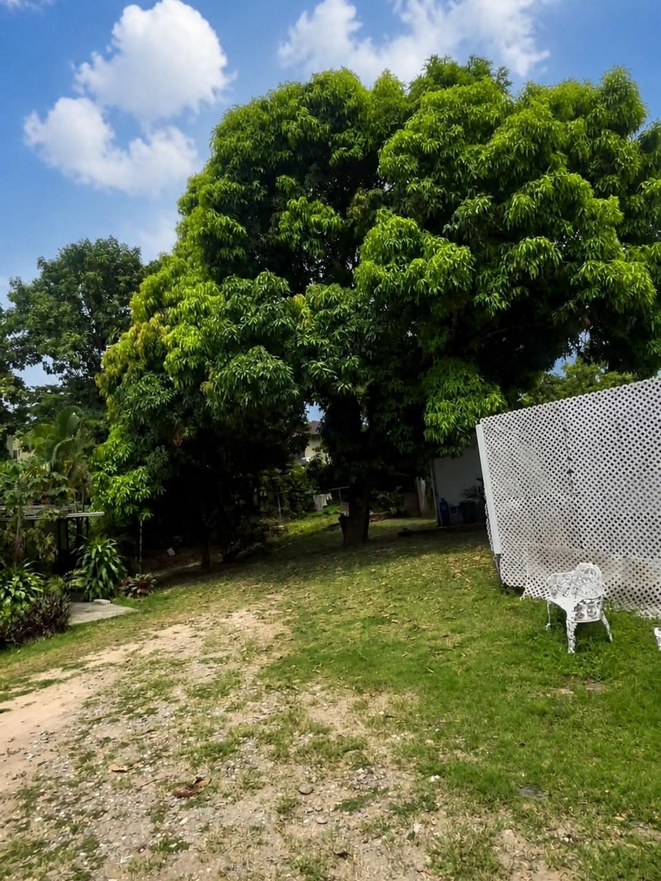 Ninth image of 9 Millsborough Avenue in Kingston 6, St. Andrew, Jamaica - property is For Rent