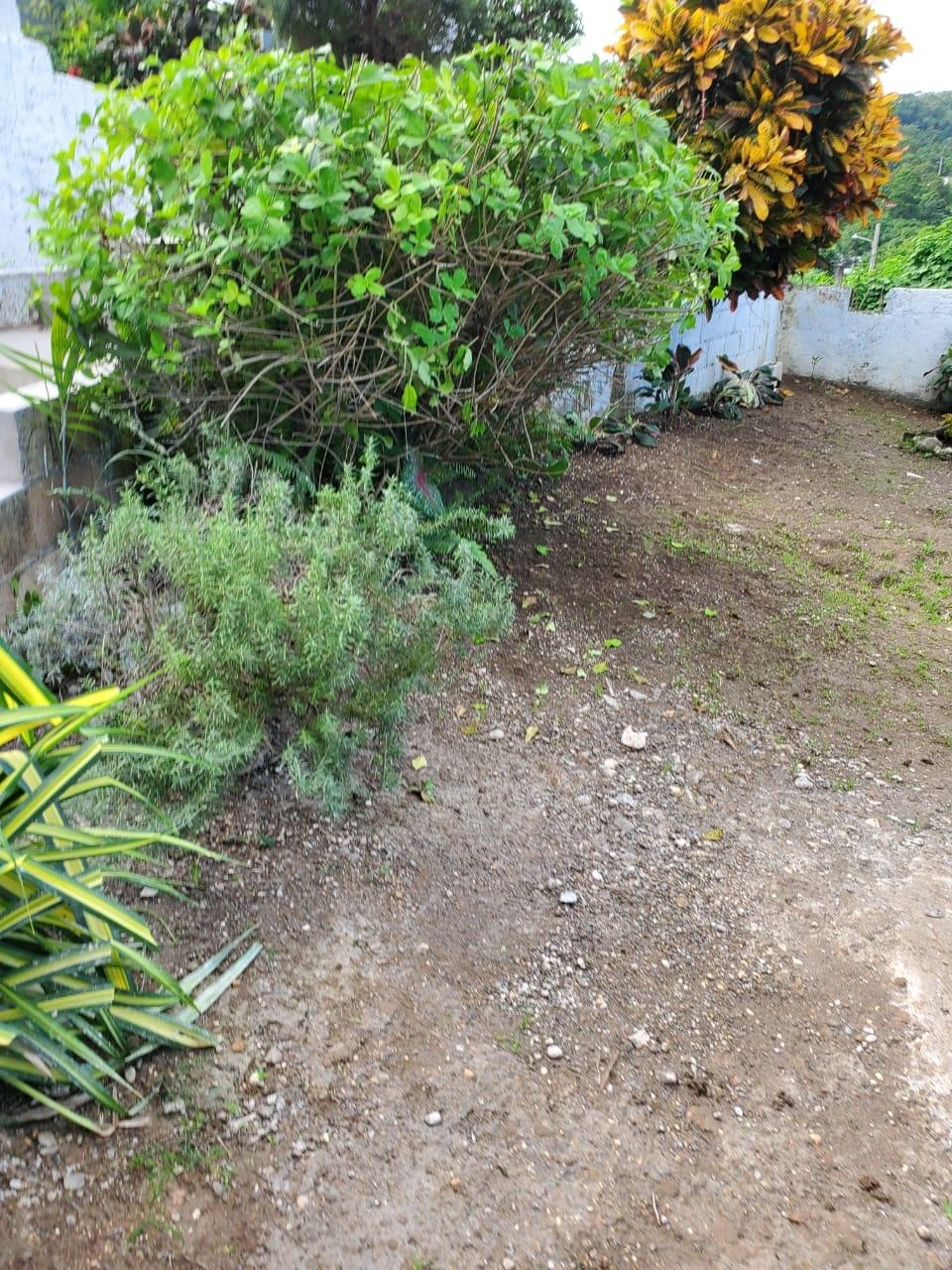 Second image of 4-4 Mountain Drive, Spring va in Tower Isle, St. Mary, Jamaica - property is For Rent