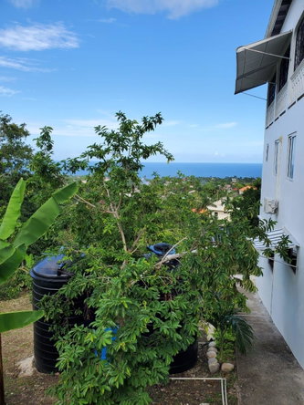 Fifth image of 4-4 Mountain Drive, Spring va in Tower Isle, St. Mary, Jamaica - property is For Rent