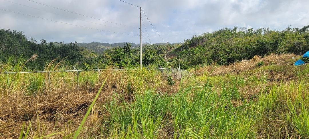 Third image of 101 Southfield in Runaway Bay, St. Ann, Jamaica - property is For Sale