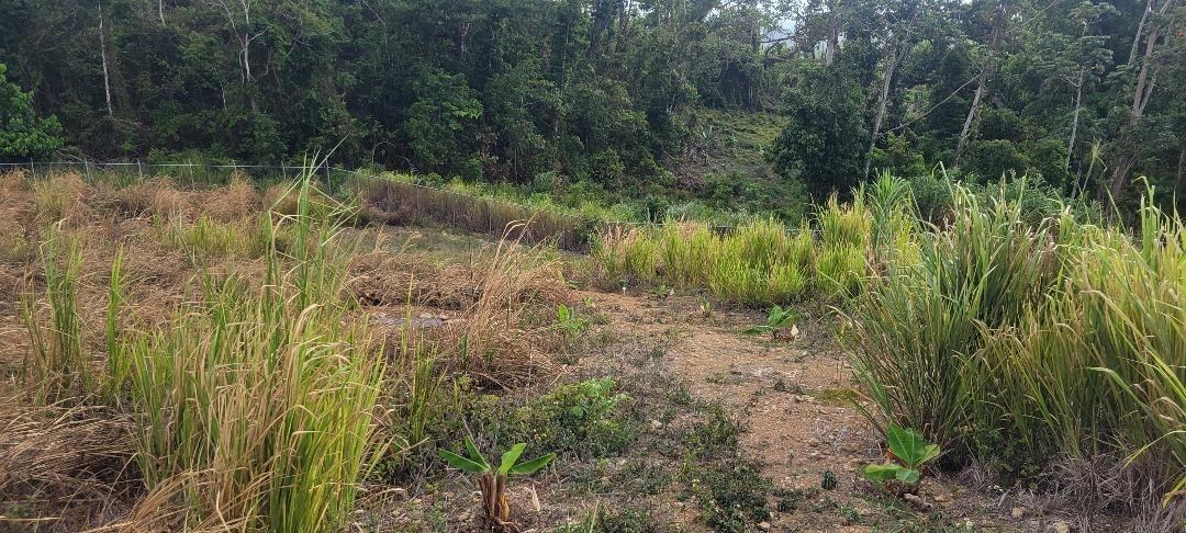 Sixth image of 101 Southfield in Runaway Bay, St. Ann, Jamaica - property is For Sale