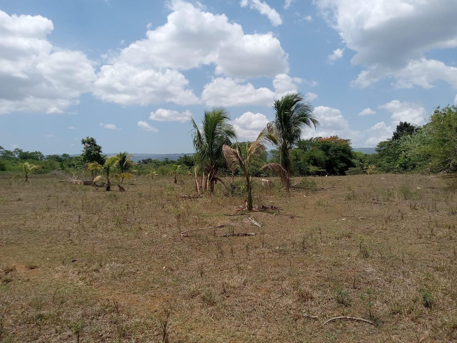 Second image of Bennett Street, Goshen in Goshen, St. Elizabeth, Jamaica - property is For Sale