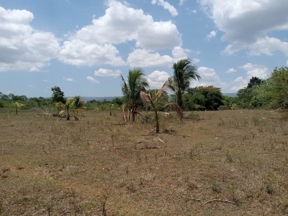 Second image of Bennett Street, Goshen in Goshen, St. Elizabeth, Jamaica - property is For Sale