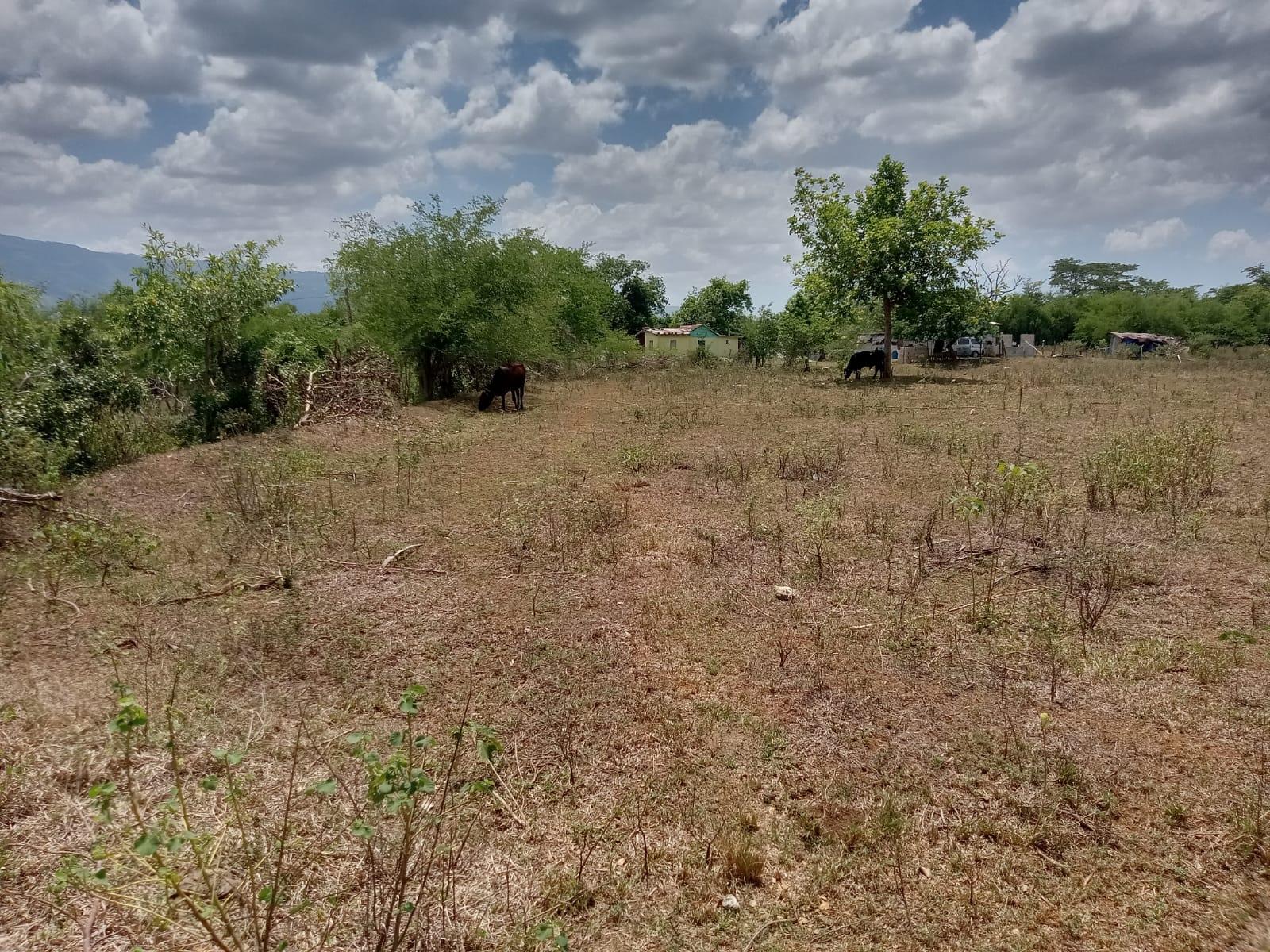 Fifth image of Bennett Street, Goshen in Goshen, St. Elizabeth, Jamaica - property is For Sale