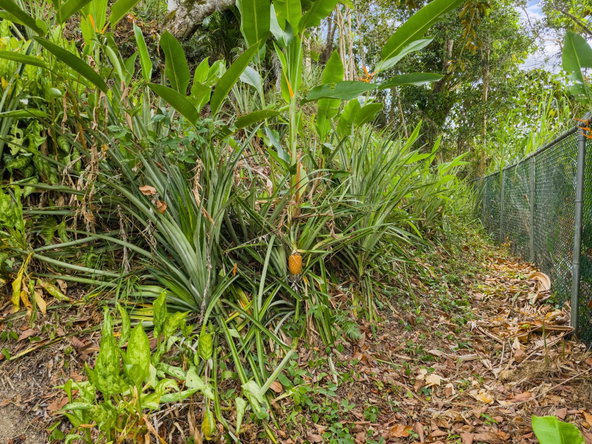 Twenty-Ninth image of 1 Hermitage Dam Road in Stony Hill P.O., St. Andrew, Jamaica - property is For Sale