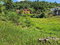 First image of Lot 4 Mckinley Road in Mandeville, Manchester, Jamaica - property is For Sale