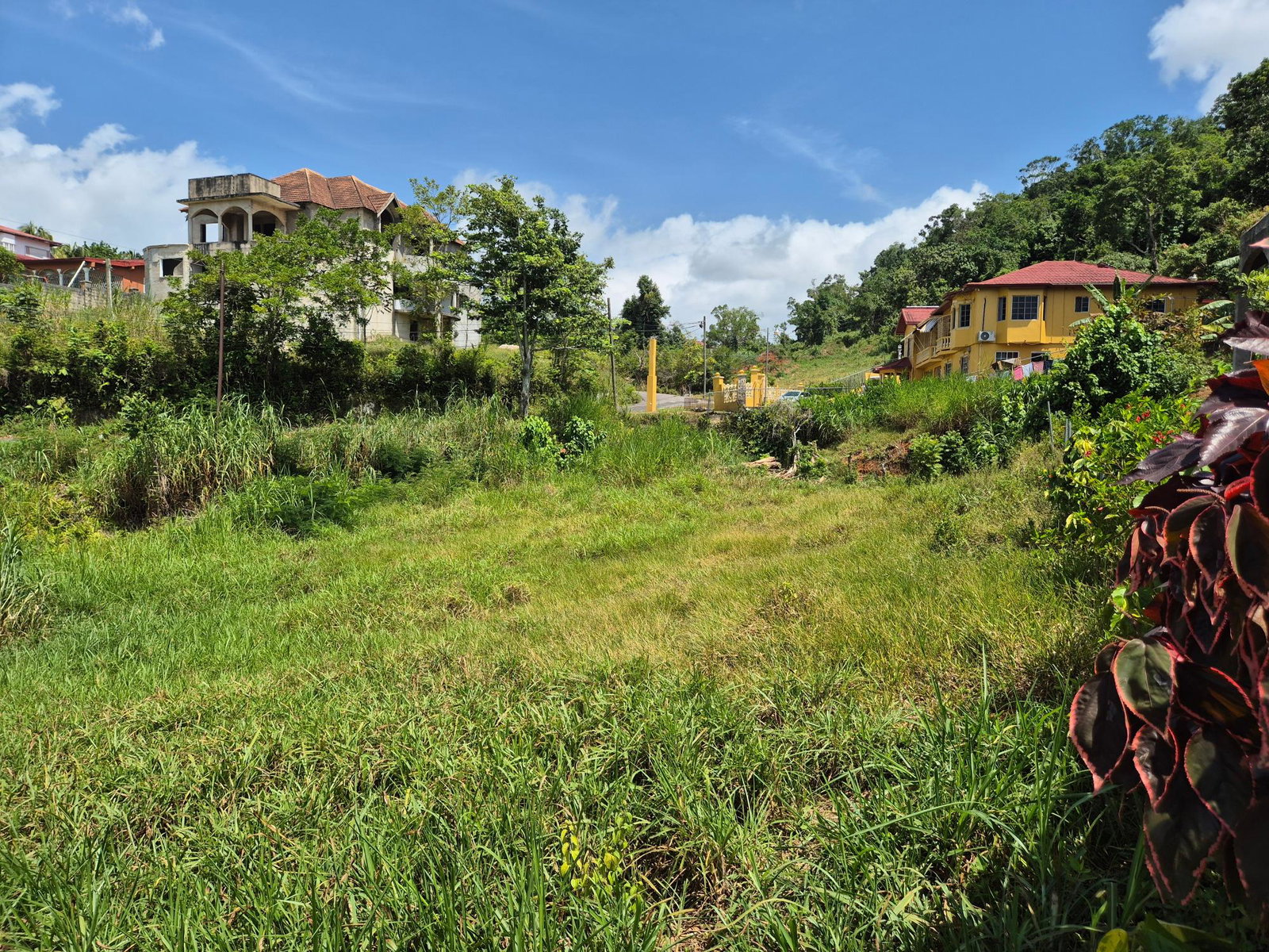 Fourth image of Lot 4 Mckinley Road in Mandeville, Manchester, Jamaica - property is For Sale