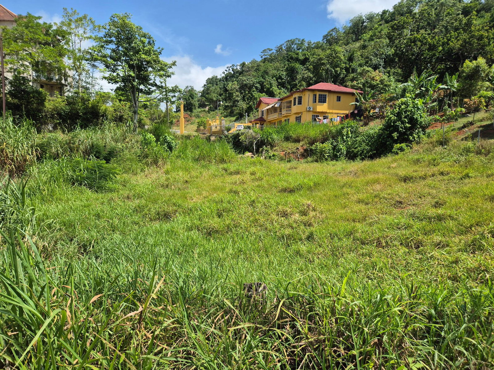 Seventh image of Lot 4 Mckinley Road in Mandeville, Manchester, Jamaica - property is For Sale