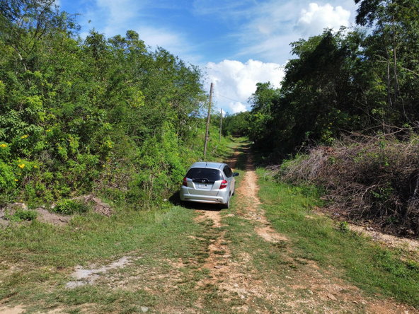Second image of Lot 6- Sevens Plantation in May Pen, Clarendon, Jamaica - property is For Sale
