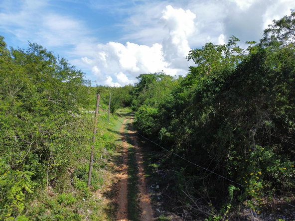 Fifth image of Lot 6- Sevens Plantation in May Pen, Clarendon, Jamaica - property is For Sale
