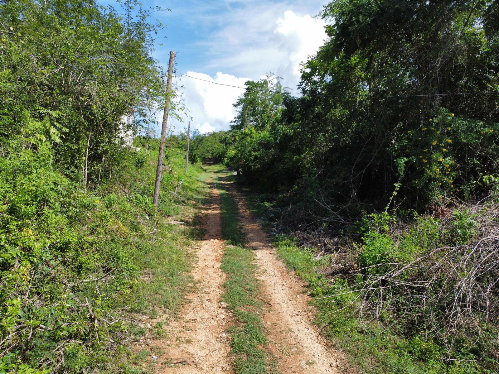 Eighth image of Lot 6- Sevens Plantation in May Pen, Clarendon, Jamaica - property is For Sale
