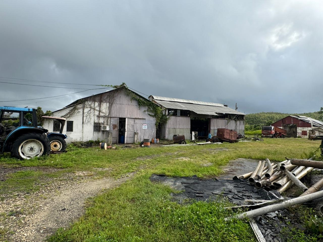 Thirteenth image of Long Pond Clarks Town, tr in Clarks Town, Trelawny, Jamaica - property is For Sale