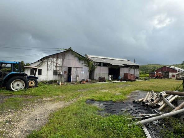 Thirteenth image of Long Pond Clarks Town, tr in Clarks Town, Trelawny, Jamaica - property is For Sale