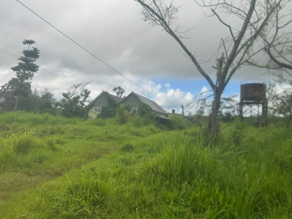 Fifteenth image of Long Pond Clarks Town, tr in Clarks Town, Trelawny, Jamaica - property is For Sale