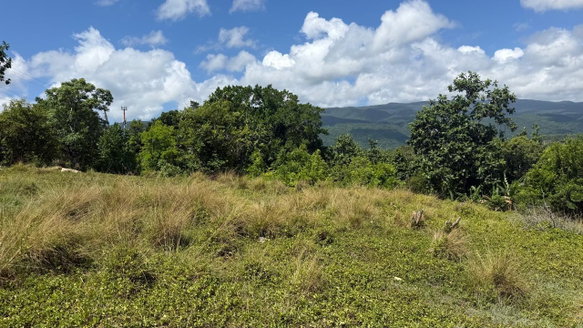 First image of Long Road Manchioneal P.o in Manchioneal, Portland, Jamaica - property is For Sale