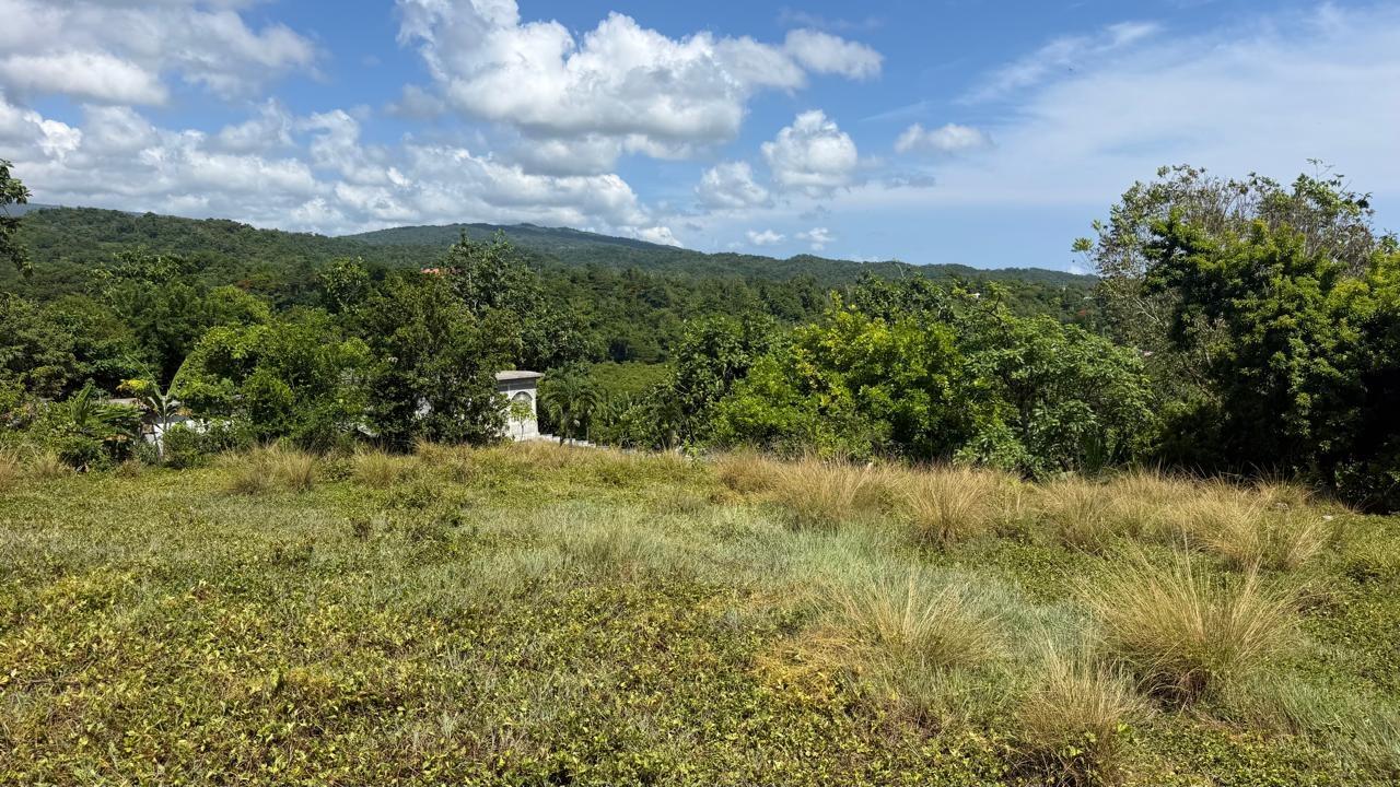 Second image of Long Road Manchioneal P.o in Manchioneal, Portland, Jamaica - property is For Sale