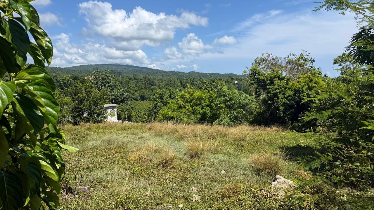 Third image of Long Road Manchioneal P.o in Manchioneal, Portland, Jamaica - property is For Sale