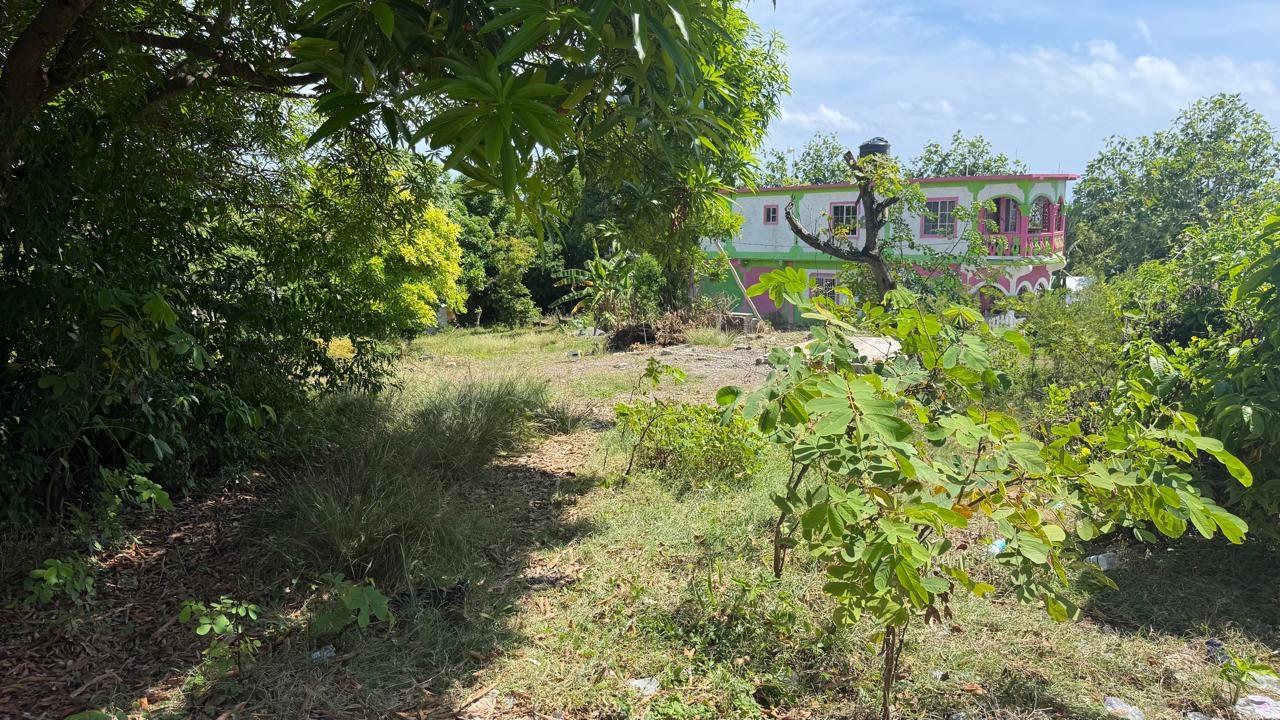Fourth image of Long Road Manchioneal P.o in Manchioneal, Portland, Jamaica - property is For Sale