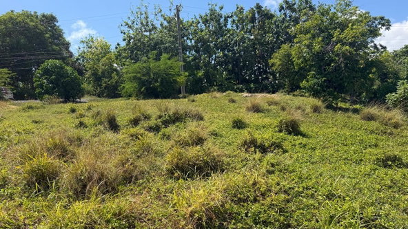 Fifth image of Long Road Manchioneal P.o in Manchioneal, Portland, Jamaica - property is For Sale