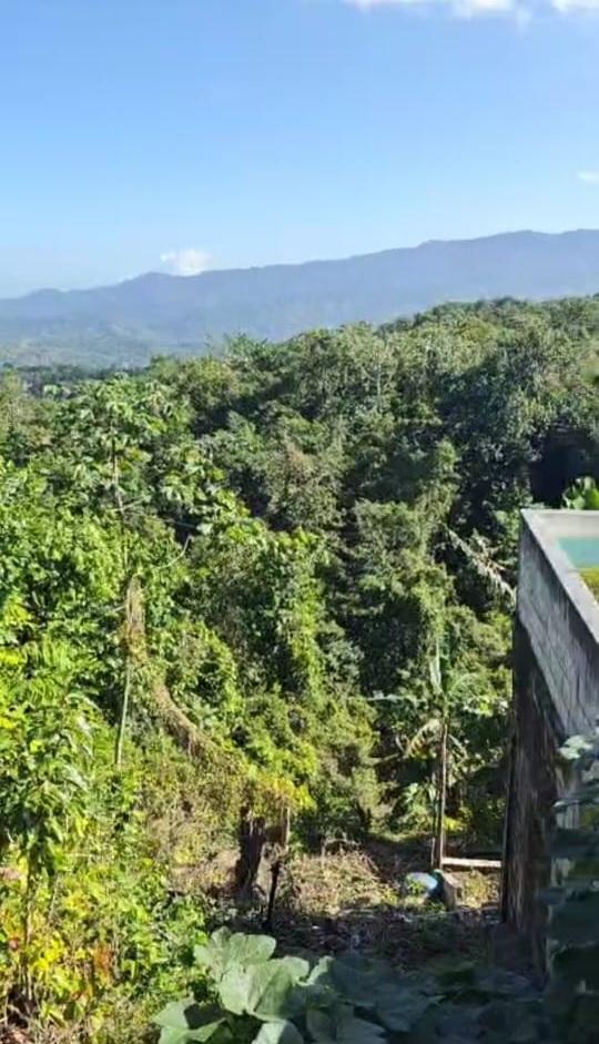 Second image of 45 Coopers Hill in Red Hills, St. Andrew, Jamaica - property is For Sale