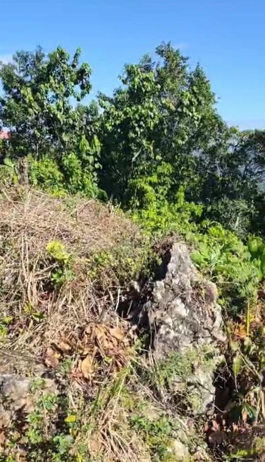 Third image of 45 Coopers Hill in Red Hills, St. Andrew, Jamaica - property is For Sale