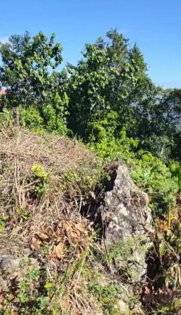 Third image of 45 Coopers Hill in Red Hills, St. Andrew, Jamaica - property is For Sale
