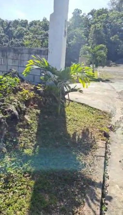 Seventh image of 45 Coopers Hill in Red Hills, St. Andrew, Jamaica - property is For Sale