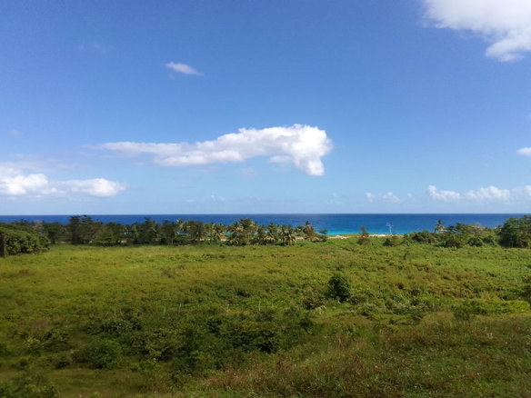First image of Woodstock Estates in Hart Hill, Portland, Jamaica - property is For Sale