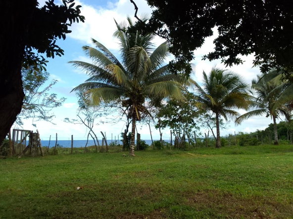 Second image of Woodstock Estates in Hart Hill, Portland, Jamaica - property is For Sale
