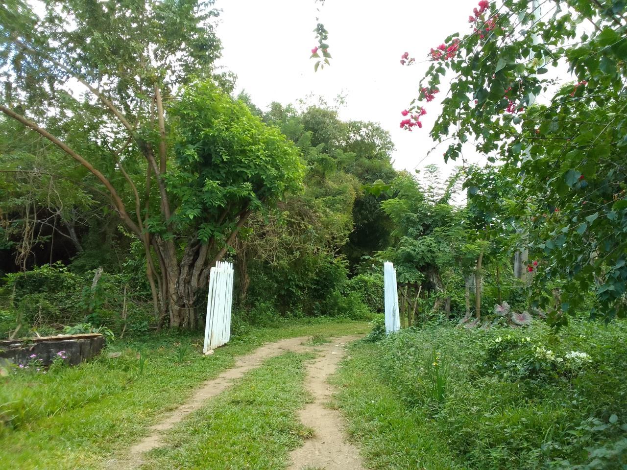 Third image of Woodstock Estates in Hart Hill, Portland, Jamaica - property is For Sale