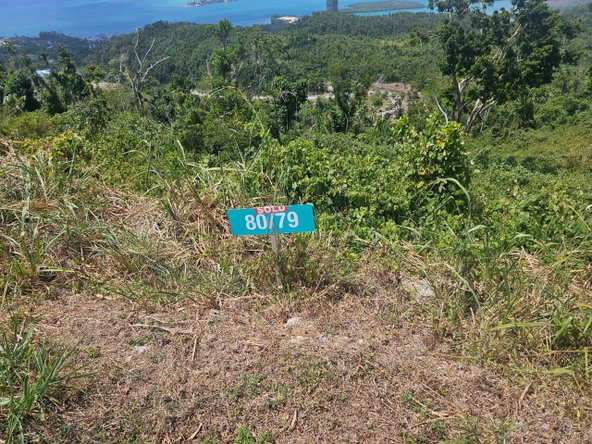Second image of Lot 79 Club of Reading, Reading in Montego Bay, St. James, Jamaica - property is For Sale