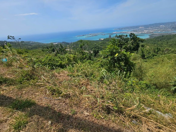 Fifth image of Lot 79 Club of Reading, Reading in Montego Bay, St. James, Jamaica - property is For Sale