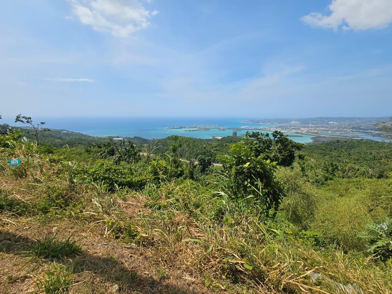 Sixth image of Lot 79 Club of Reading, Reading in Montego Bay, St. James, Jamaica - property is For Sale