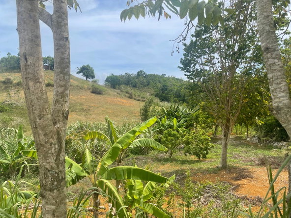 Second image of Hibermia in Devon, Manchester, Jamaica - property is For Sale