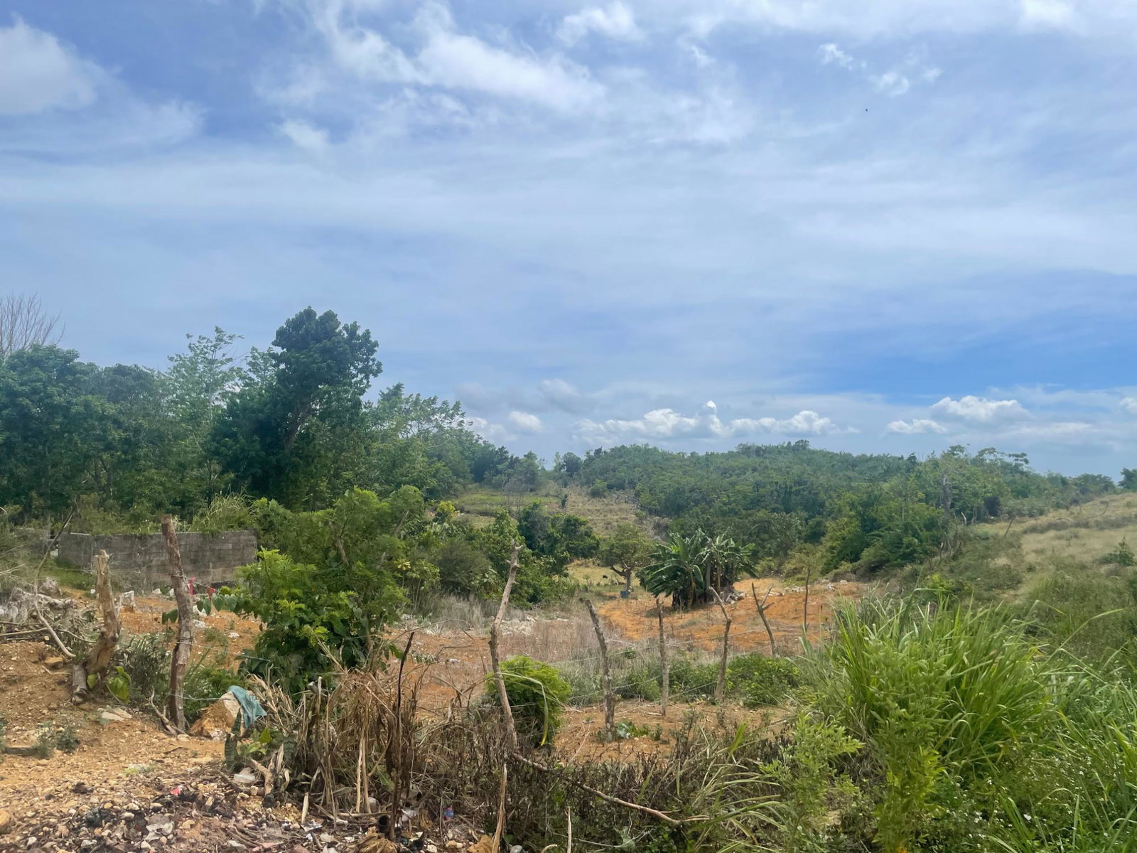 Third image of Hibermia in Devon, Manchester, Jamaica - property is For Sale