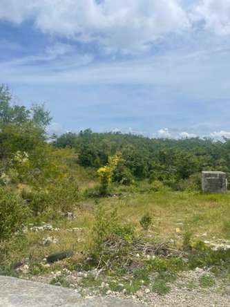 Fourth image of Hibermia in Devon, Manchester, Jamaica - property is For Sale