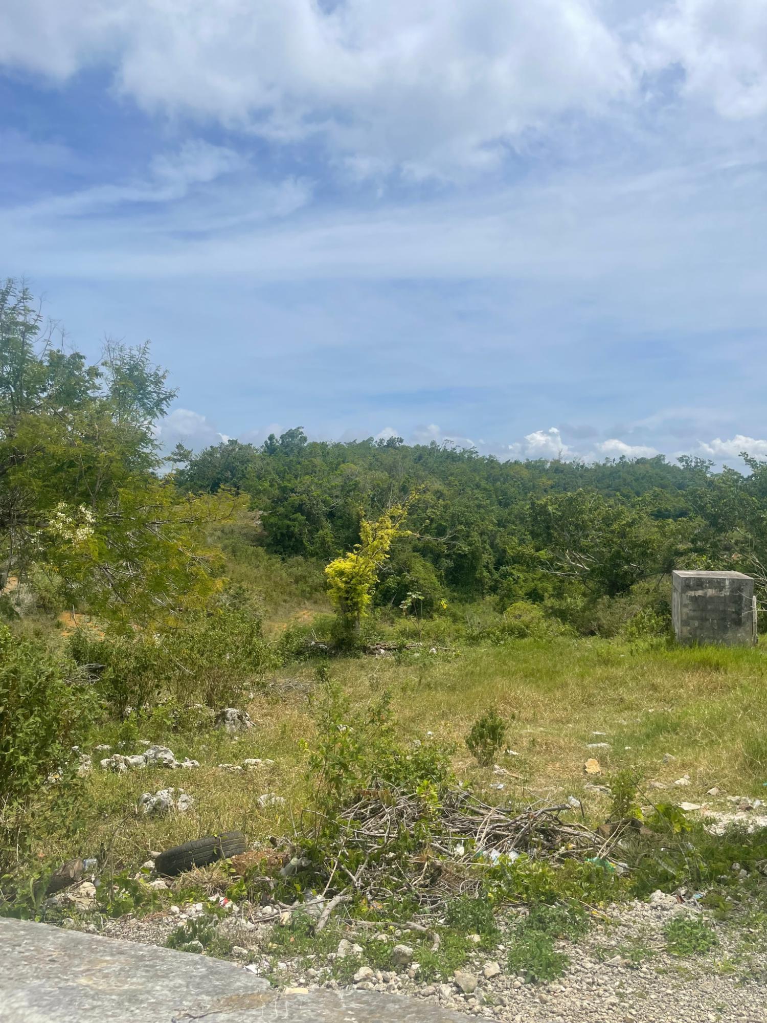 Fifth image of Hibermia in Devon, Manchester, Jamaica - property is For Sale