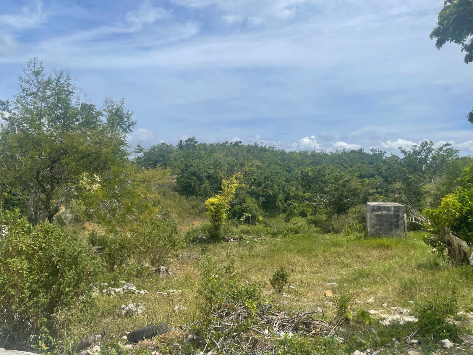 Sixth image of Hibermia in Devon, Manchester, Jamaica - property is For Sale